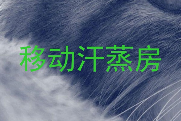 移动汗蒸房