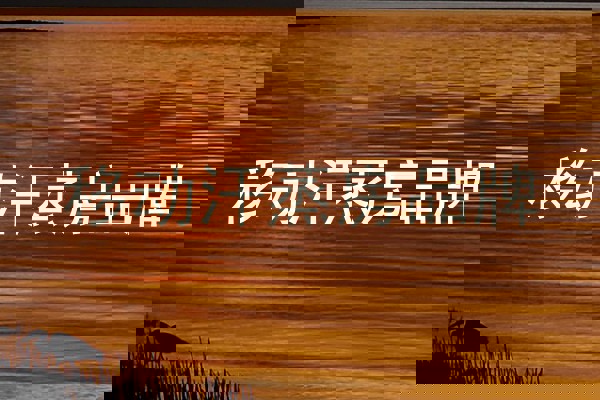 移动汗蒸房品牌