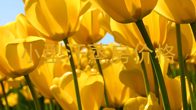 小型汗蒸房价格