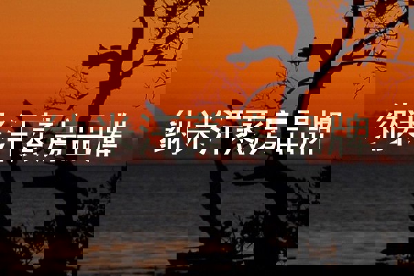 纳米汗蒸房品牌