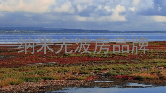 纳米光波房品牌