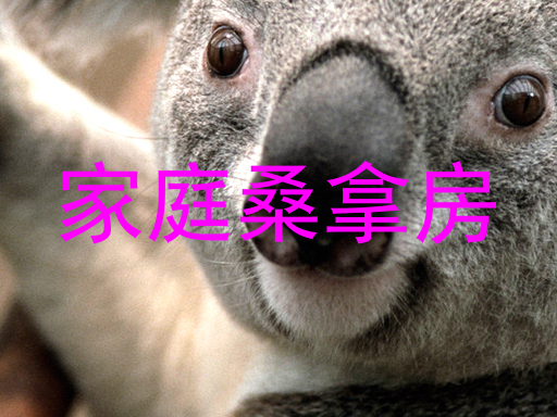 家庭桑拿房