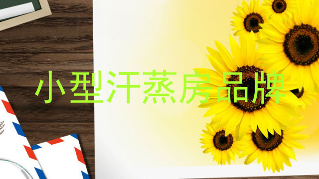 小型汗蒸房品牌