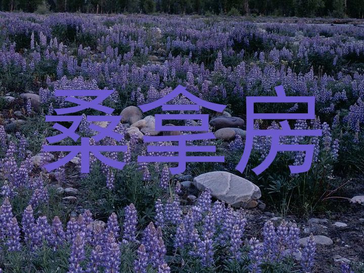 桑拿房