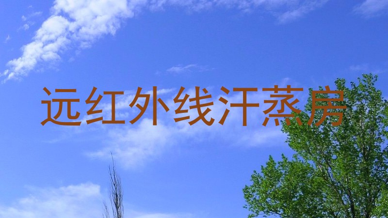 远红外线汗蒸房