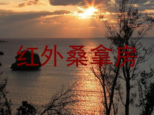 红外桑拿房