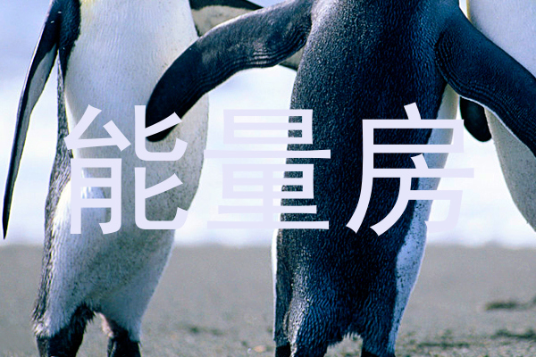 能量房