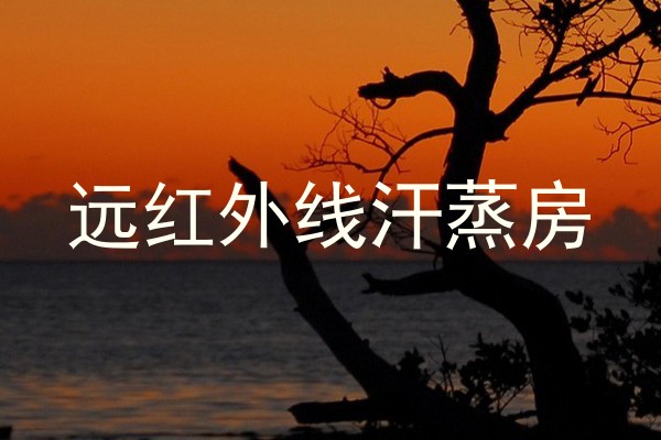 远红外线汗蒸房