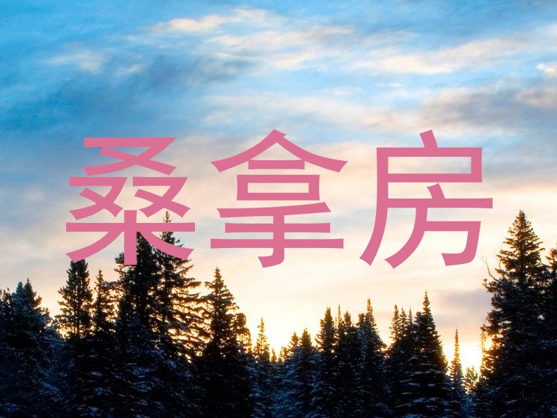 桑拿房