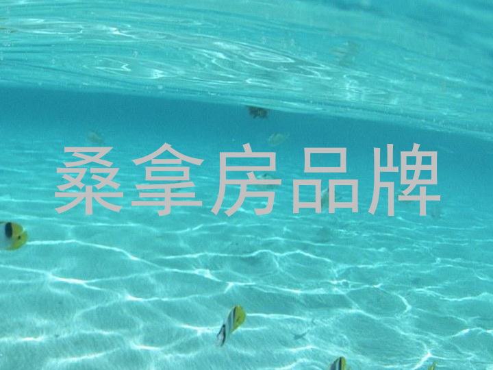 桑拿房品牌