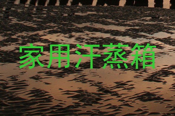家用汗蒸箱