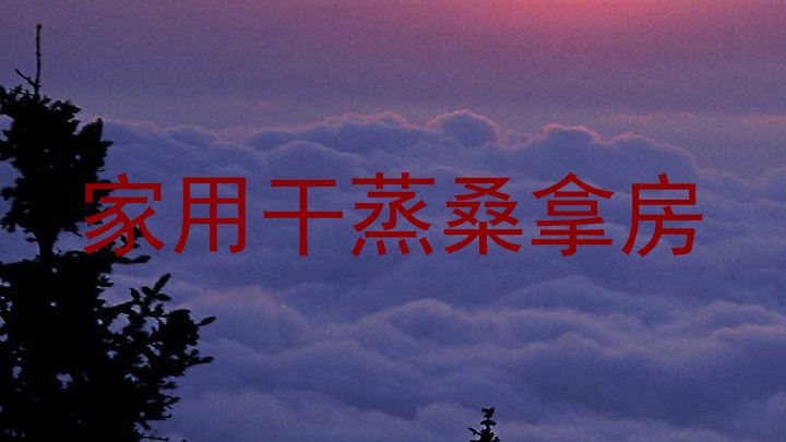 家用干蒸桑拿房