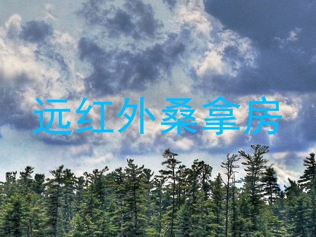 远红外桑拿房