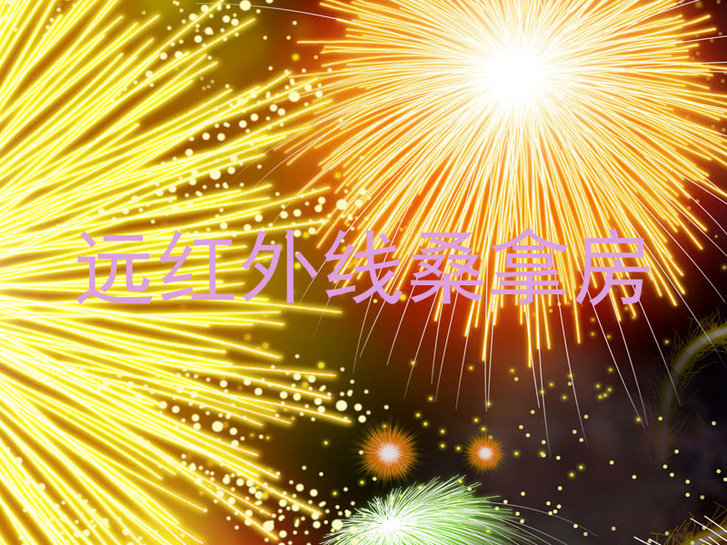 远红外线桑拿房