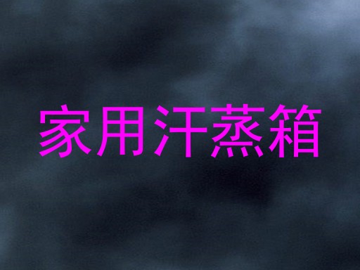 家用汗蒸箱