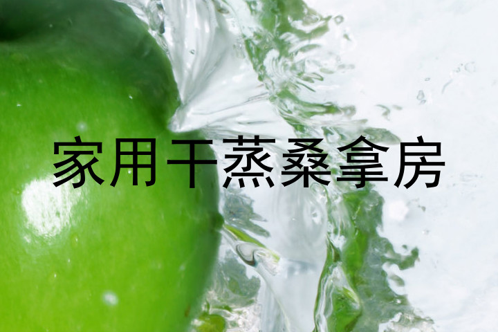 家用干蒸桑拿房