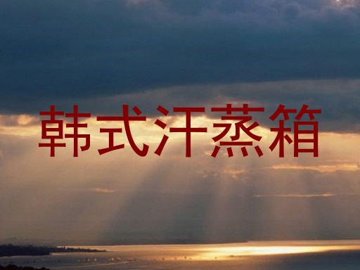韩式汗蒸箱