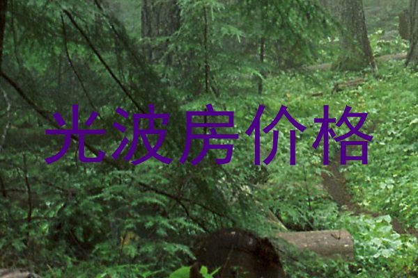 光波房价格
