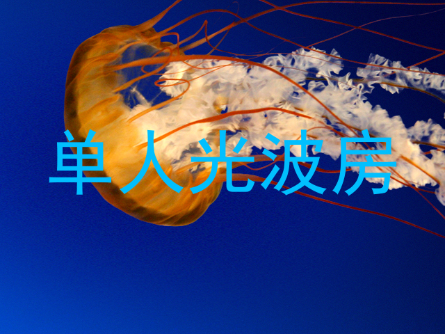 单人光波房