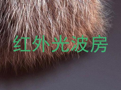 红外光波房