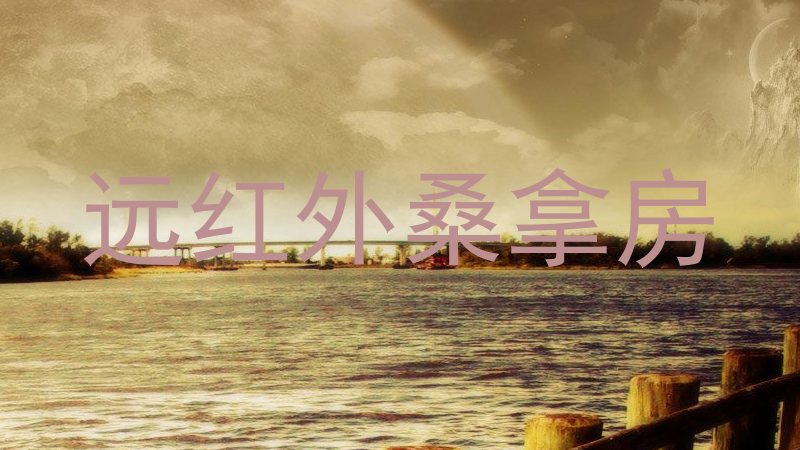 远红外桑拿房