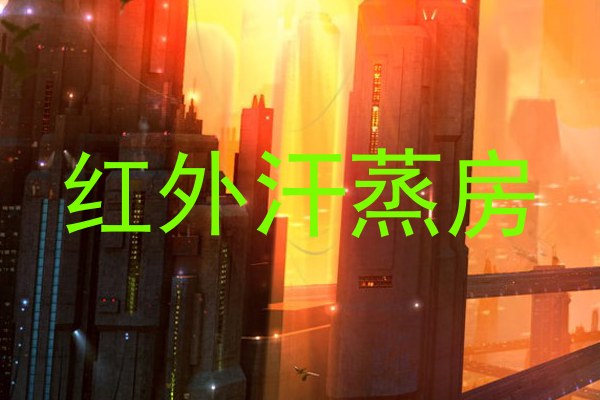 红外汗蒸房