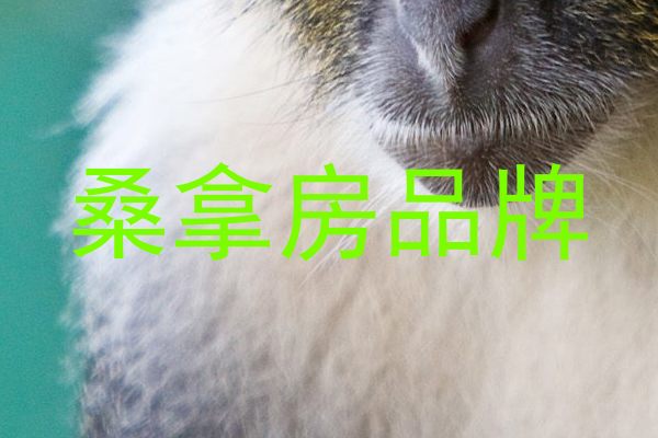 桑拿房品牌