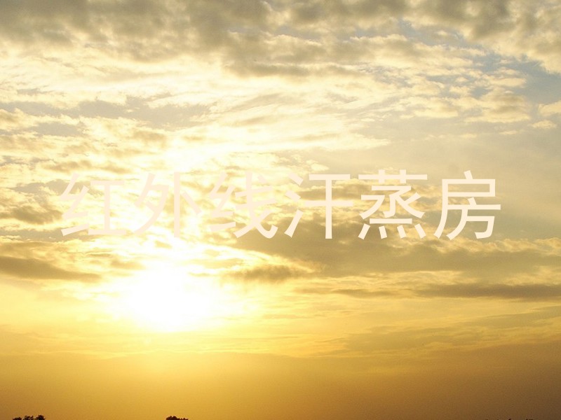 红外线汗蒸房