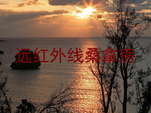 远红外线桑拿房