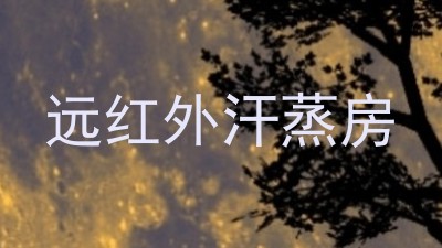 远红外汗蒸房