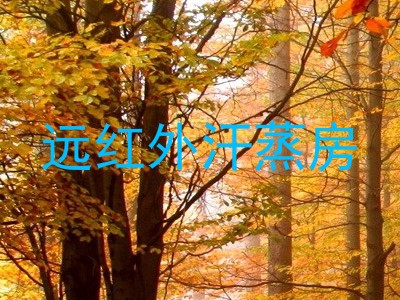 远红外汗蒸房