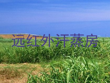 远红外汗蒸房