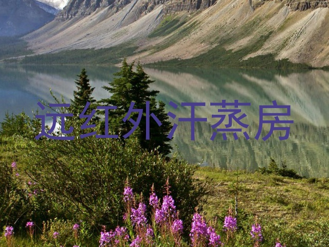 远红外汗蒸房