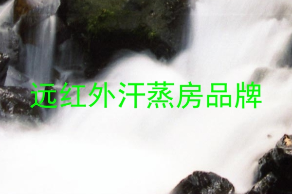 远红外汗蒸房品牌