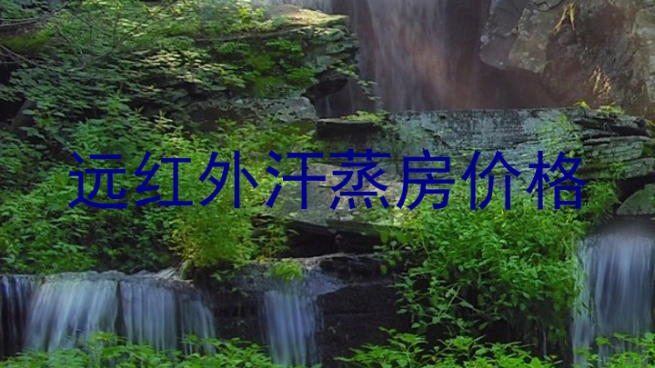 远红外汗蒸房价格