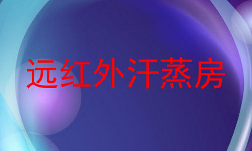 远红外汗蒸房