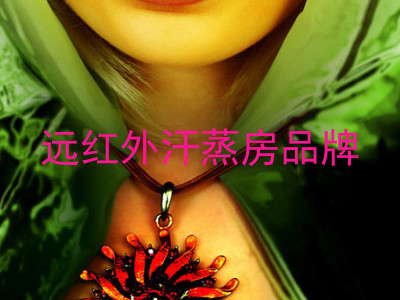 远红外汗蒸房品牌
