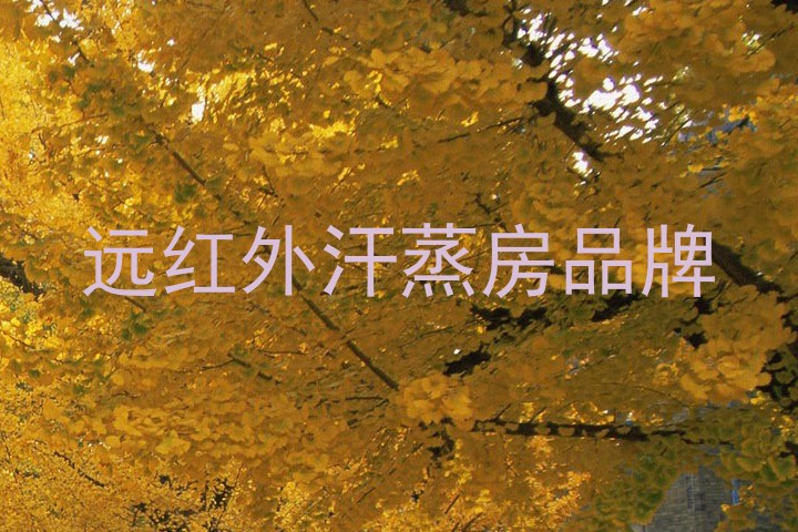 远红外汗蒸房品牌