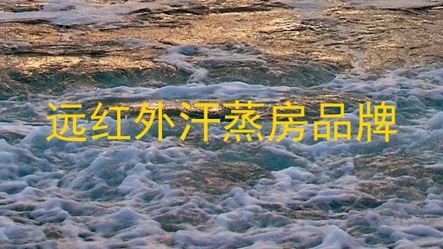 远红外汗蒸房品牌