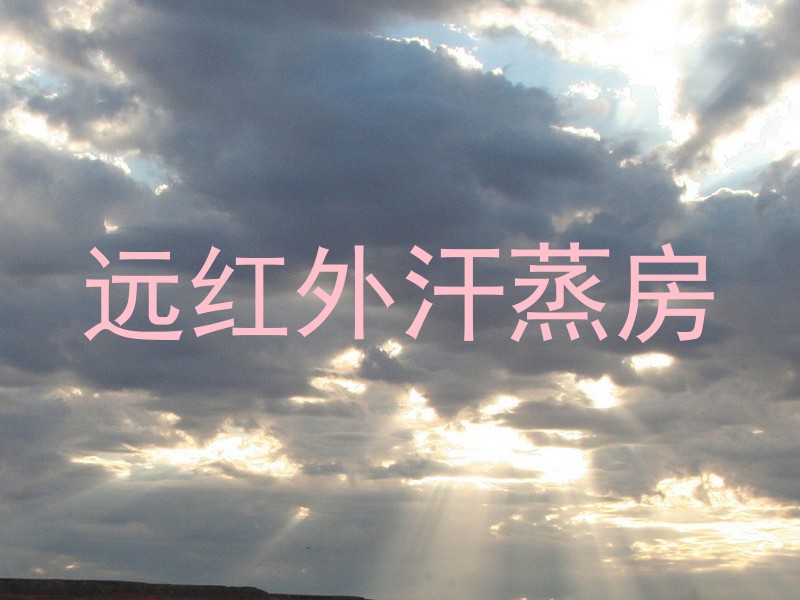 远红外汗蒸房