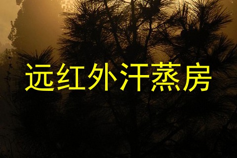 远红外汗蒸房