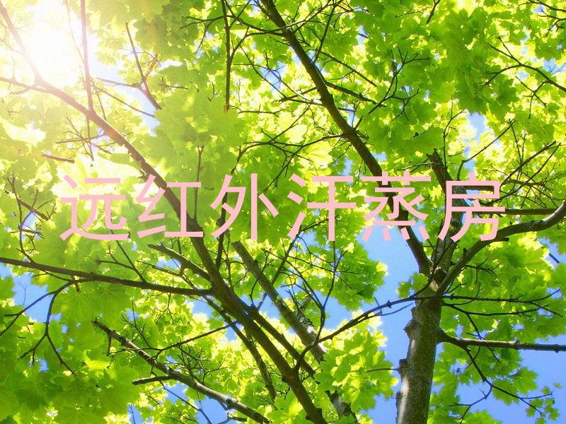 远红外汗蒸房