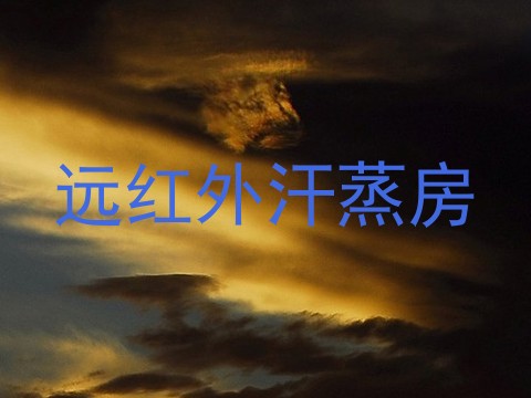远红外汗蒸房