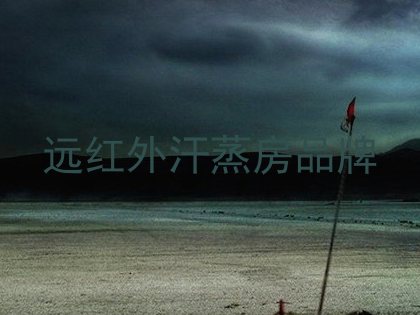 远红外汗蒸房品牌