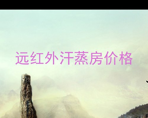 远红外汗蒸房价格