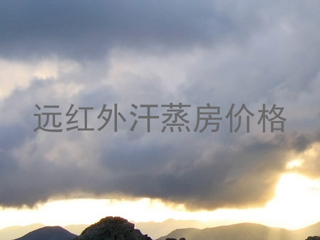 远红外汗蒸房价格