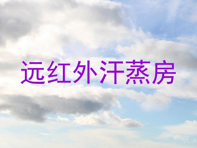 远红外汗蒸房