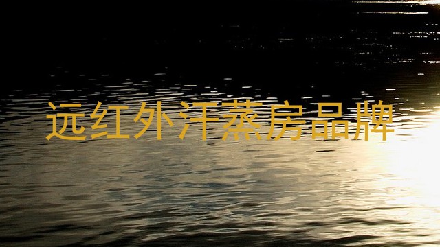 远红外汗蒸房品牌