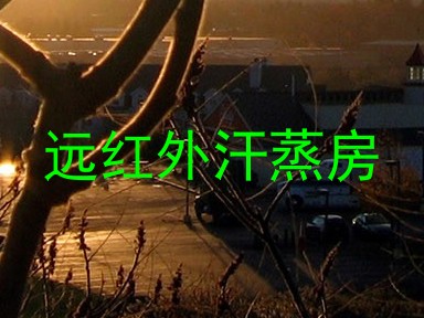 远红外汗蒸房