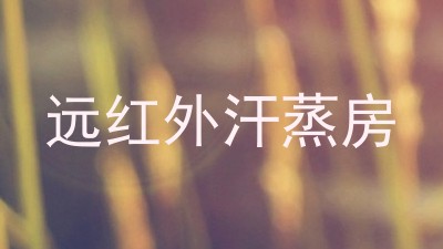 远红外汗蒸房